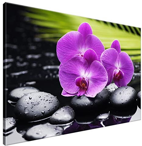 Estika Leinwand bilder - Violette Orchideen, Grün Hintergrund - 120x80 cm, 1 teilige kunstdruck - Wandbilder wohnzimmer, schlafzimmer, Moderne wanddeko, Bild auf leinwand - 1136A_1B