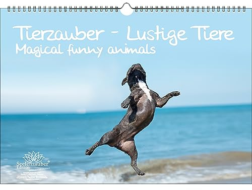 Tierzauber lustige Tiere DIN A3 Immerwährender Kalender Lustige Momente mit Tieren - Seelenzauber