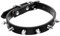 FRCOLOR Collar De Mascota Collar De Púas para Perros Collar De Pinchos para Perros Collar De Gato Pequeño Collar De Perro Julios Lindos Collares De Gato Decoración Gatito Cuello Cuero