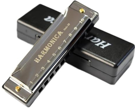 Blues Mundharmonika, 10 Löcher C Key Mundharmonika, Diatonische Mundharmonika mit Etui, Edelstahl Mundorgel für Profispieler, Anfänger, Studenten Geschenke, Erwachsene (Schwarz)