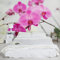 Tapete Top Orchideen Tapeten, HxB: 190cm x 288cm, Motiv: Nahaufnahme Orchidee