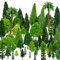 OrgMemory Arbres Modèles, 36Pièce, 4-16 cm, Arbres Miniatures, Modélisme Ferroviaire Paysage, Plastique Modèle Arbre pour Les Projets, Paysage de Modèle de Train sans Foundation (36 Arbres Verts)