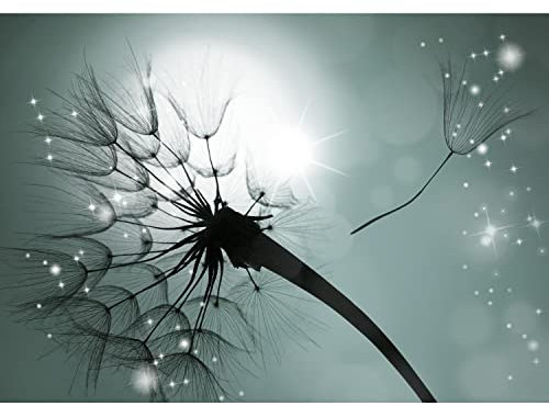 Runa Art Fototapete Pusteblume Sonne 352 x 250 cm Vlies Tapeten XXL Moderne Wandtapete Wohnzimmer Schlafzimmer Türkis 9501011b