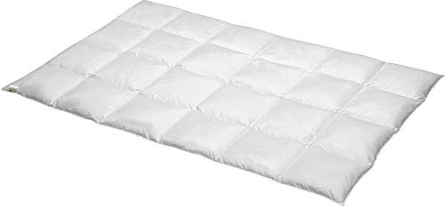 Erwin Müller Kassettendecke Kingston 100% Daunen Wärmestufe 4 Größe 155x220 cm