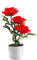 BESPORTBLE Solar Flower Lights Led Licht Blumen Bonsai Lampe Mit Lichtern Für Garten Balkon Büro Hotel Und Einfach Zu Bedienen Rot