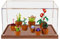 HCAEIOFJ Clear Acrylic Display Case for Lego Icons 10329 Applicable for Botanical Collection Tiny Plants Designed Display Box Gift(Display Case Only) (Wood Bottom)