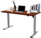 FLEXISPOT Electric Standing Desk Height Adjustable Sit Stand Up Desk with Memory Smart Pannel for Home Office (120 * 80cm, Silver Frame+ Mahogany Desktop)