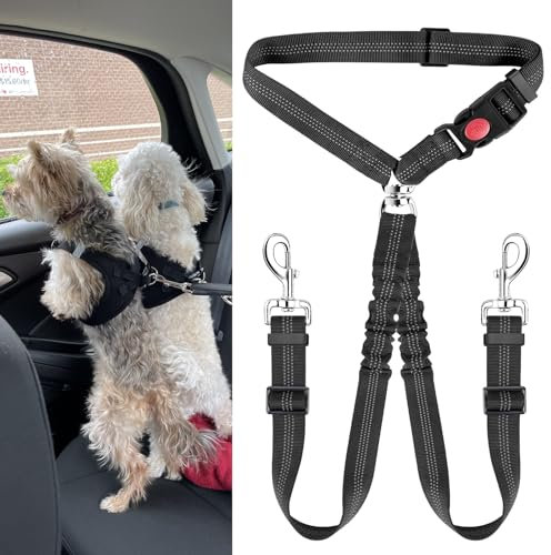 Réglable Double Ceintures de Sécurité pour Chien pour Voiture avec Absorption des Chocs pour Chien