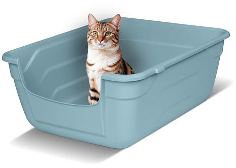 Snugsy Katzenklo mit Hohem Rand - L - Offene Katzentoilette ohne Deckel - Leicht zu Reinigen - Blau 50 x 38,5 cm