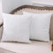 UPOPO 2er Set Samt Kissenbezug Dekorative Einfarbig Kissen Weich Kissenhülle Kissenbezüge Dekokissen Zierkissen Sofakissen für Couch Schlafzimmer Wohnzimmer mit Reißverschlüsse 40 X 40cm Bleichen