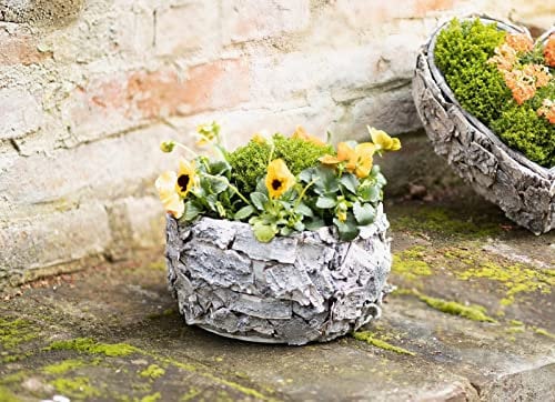 Dekoleidenschaft Pflanzer aus Holz & Birkenrinde, rustikal, rund, Pflanzschale, Pflanzgefäß, Blumentopf, Garten-Deko für Draußen