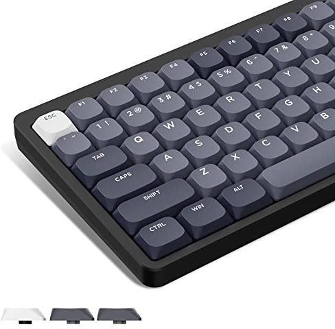 LQXQ Teclas de Perfil bajo 143, PBT Keycaps, Teclas para ANSI US 60% 65% 75% 80% 100% Cherry Gateron MX Switch Teclado Mecánico, Gris/Blanco (ISO no Compatible)