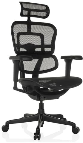 hjh OFFICE Bürostuhl ergonomisch ERGOHUMAN Signature GEN2 Originales Design, Bürosessel mit Flexibler Lendenwirbelstütze, Netzbespannung, Schwarz