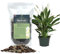 GardenNova's Expert Blend for Peace Lilies: Premium Organic Compost, Bark, Perlite, Charcoal, Sphagnum Ideal for Indoor Plants - [1-Liter Bag]