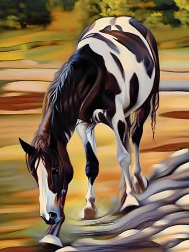 Malen Nach Zahlen Erwachsene Tier Pferd 70x90cm DIY Handgemalt Ölgemälde Kit für Anfänger und Erwachsene, inklusive Knitterfreie Leinwand, Pinsel und Acrylfarben-Haus Dekoration (Rahmenlos) H-52