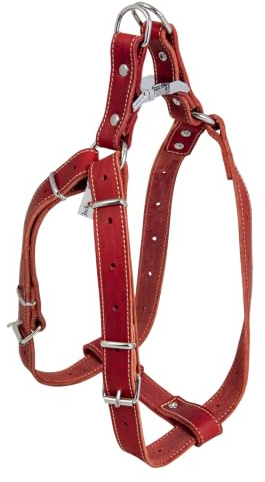 JACK AND VANILLA, Hundegeschirr aus strapazierfähigem Leder, verstellbar von 65 bis 90 cm, Breite 25 mm, Elegantes Design und optimale Sicherheit für Ihre Spaziergänge, Ledermodell