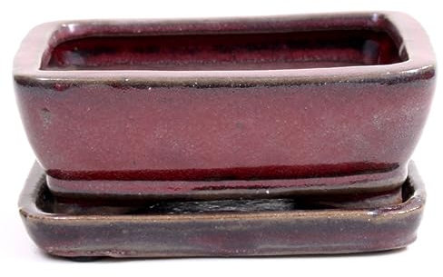 Bonsai - Schale eckig, 15,5 x 11,5 x 7 cm, Bordeaux, mit Untersetzer 23955