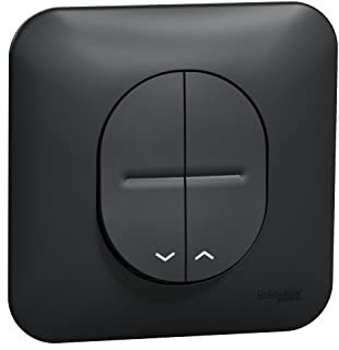 Schneider Electric - Ovalis - Bouton poussoir pour volet roulant Avec plaque de finition -Anthracite - S460207