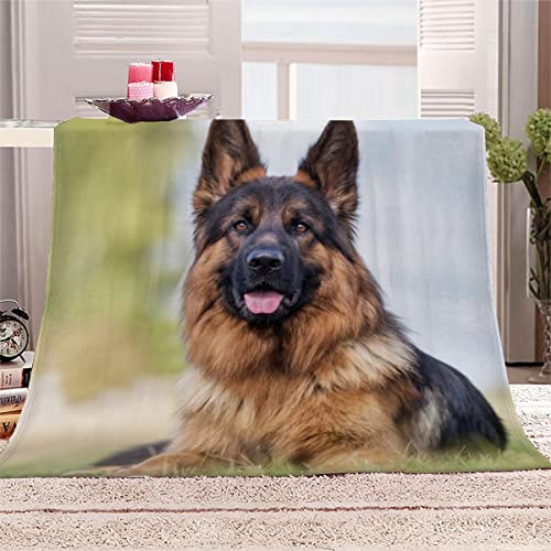 Aolity Kuscheldecke 150x200 cm Deutscher Schäferhund Decke Camping Kuscheldecke Flanelldecke Weich Wohndecke Tierischer Hund Sofadecke Decke für Kinder Erwachsene Kuscheldecke Draußen