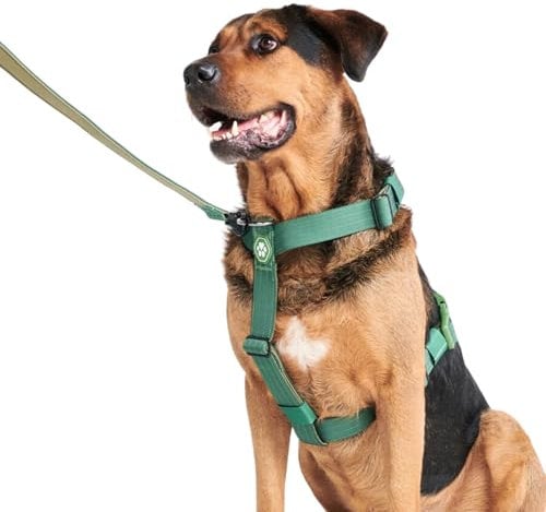 Spark Paws No Pull Hundegeschirr Grosse Hunde, Halterdesign mit Frontclip, Y Geschirr Hund, Robust und Strapazierfähig Harness für Große und Starke Rassen - Green, L