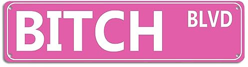 Divertente cartello stradale per camera da letto, targa in metallo rosa, targa in metallo vintage, 10,2 x 40,6 cm, decorazione per la stanza, poster in ferro da parete per casa, fattoria, bar,