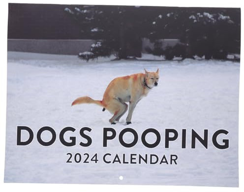 AOKWAWALIY 2024 Hängender Monatskalender Memo-kalender West Highland Terrier- Katzen-hintern- Monatlicher Wand Akademischer Schreibtisch Büro Tier Papier