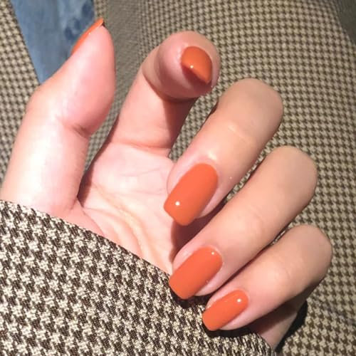 HaoTrade 24Pcs Square False Nail Short, Almond French Tip Fake Nails, Press on Nails with Glue Stickers Removable Glue-on Glossy Acrylic Full Cover Nail for Women and Girls