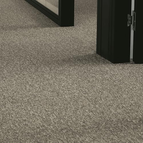 andiamo Teppichboden Meterware Joe - Auslegware Bodenbelag zuschneidbar und einfach zu verlegen - Teppichbelag aus Polypropylen 6mm Gesamthöhe Anthrazit 400 x 400 cm