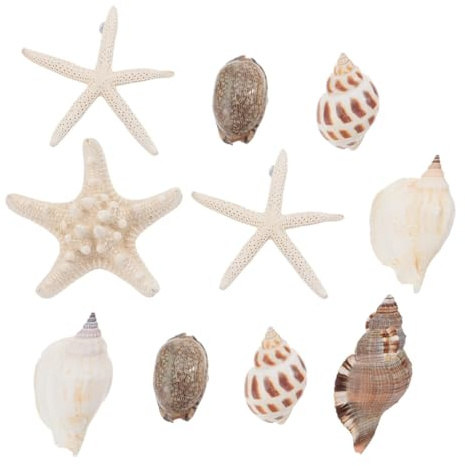 ETHZZLE 10pcs Seashell and Fridge Magnets Ocean Fridge Magnet Set Random Style Kitchen Refrigerator Accessories Home Decoration