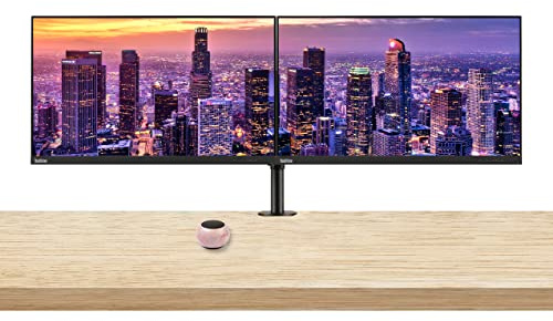Lenovo ThinkVision S24e-20 23.8 Full HD 1920 x 1080 WLED LCD Monitor 2-Pack Bundle with Mini Speaker, 250 Nit, FreeSync, HDMI-VGA, Raven Black, & Adjustable Desk Mount Monitor Stand