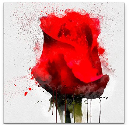 Leinwandbilder | Bilder Leinwand 90x90cm Aquarell – rote Rose