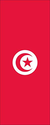 flaggenmeer® Flagge Tunesien 110 g/m² ca. 400 x 150 cm mit Hohlsaum für Ausleger