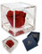 Passionefiori.it S 1010 Luxury Rose Stabilizzate Vere in Cubo più Spesso Luxury 10cm e Scatola Regalo Lusso, Cubo Rosa stabilizzata Rossa, Rosa eterna