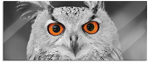 Pixxprint Glasbild Panorama, Wandbild aus Echtglas, süßer Eulen Kauz, 120x50 cm, inkl. Aufhängung und Abstandshalter
