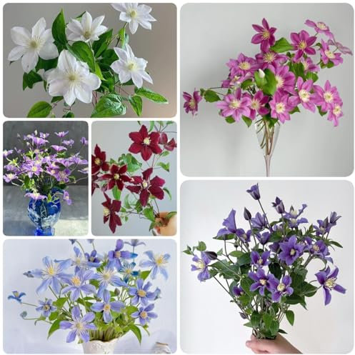 kletterpflanzen clematis zwiebeln - klematis - garten blumen, gartenbedarf clematis knollen, frische blumen, gartendeko für draußen deko blumen, topfpflanzen echt blumen pflanzen, 7pcs