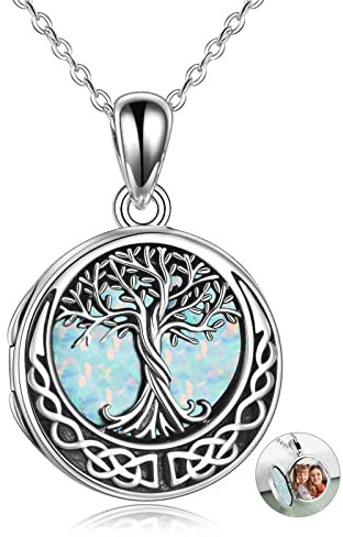 YAFEINI Baum des Lebens Medaillon Halskette Sterling Silber Medaillon Halskette, die Bilder Baum des Lebens Medaillon Anhänger für Frauen Frau Freundin hält