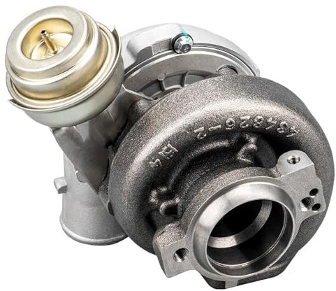 WHARGTSL GT2556V Turbolader Passend for BMW 730d / 530d M57D30 135KW 142KW 4454191-000 Turbo
