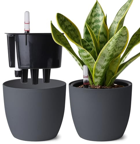 T4U 20cm Selbstbewässerungstopf Rund 2er Blumentopf Groß für Monstera, Grau | Plant Pot, Rosmarin, Große Zimmerpflanzen, Hydrokultur, Wasserspeicher, Wohnraum, Terrasse, Urlaubspflege
