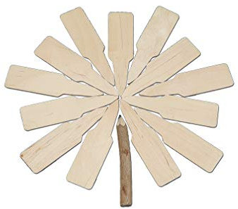 100 x Wooden Plant Labels in Paper Box Packaging by e-pots | 100% Biodegradable | 100 Seedling Plant and Garden Labels | Long Lasting and Reusable | 9.5cm by 2.5cm