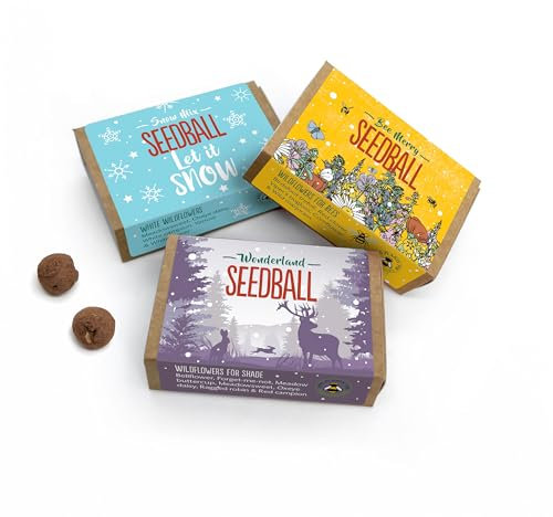 SEEDBALL Wildflower Seed Bombs (Pack of 3, 6 Balls Per Box) | Eco Friendly British Wild Flower Seed Mix for Bees, Birds & Garden Wildlife | Gardening Gift for Women & Wildlife Supporters