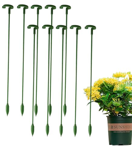Pflanzenstützwetten – 10 x Pfingstrosenstützstäbe für Blumen und Zimmerpflanzen | Gartenstäbe für Tomaten, Rose, Lilie, Orchidee, Phalaenopsis, wiederverwendbare Pflanzenständer für