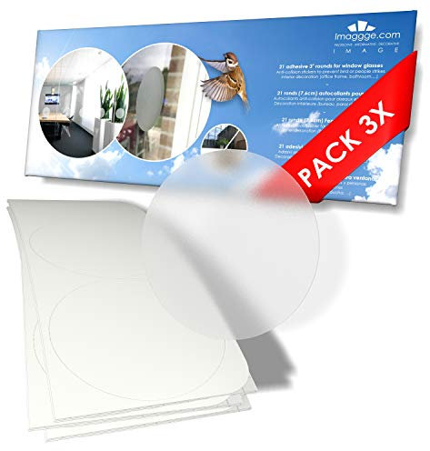 3 set di 21 adesivi rotondi (63 tondi) – adesivi anti-collisione per prevenire persone o uccelli colpiscono sul vetro della finestra – Diametro 7,6 cm – Traslucido/polvere