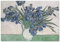 Panorama Poster Van Gogh Lilien 50x35 cm - Gedruckt auf 250g-Papier - Wandbild Wohnzimmer - Papierplakat Schlafzimmer
