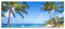 Tableau panoramique sur verre - Magnifique plage avec palmiers - 100 x 40 cm - Avec suspension et entretoises