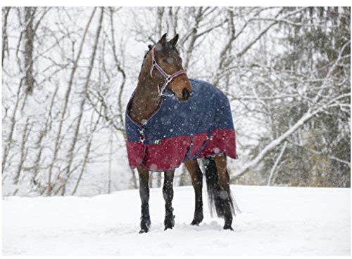 Winterdecke 150g Füllung TYREX 1200D EquiTheme Marineblau/Bordeauxrot 150cm