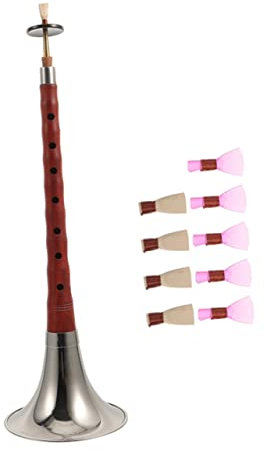 Toyvian Chinesische Professionelle Suona Aus Rotem Sandelholz A-ton Blasinstrument Für Anfänger Handgefertigtes Premium Volksinstrument Für Unterricht Und Bühnenauftritte