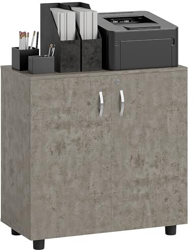 Vinsetto Filing Cabinet with Locking Doors & Shelves, 2-Tier Lockable Storage Cabinet with 2 Keys for Home Office, 80W x 40D x 80H cm, Grey