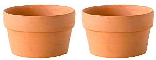 YARNOW 2pièces Lot de Pots Terre Cuite pour Plantes Succulentes Jardinières Naturelle avec Trou De Drainage pour Cactus Et Bonsai