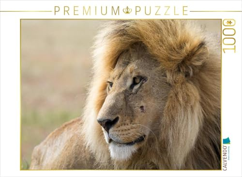 CALVENDO Puzzle Löwe | 1000 Teile Lege-Größe 64 x 48 cm Foto-Puzzle für glückliche Stunden