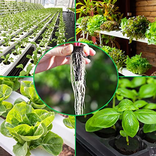 Anzuchtset, 162 Stck Hydroponische Anzuchtsets 30 Wachstumsschwämme/Grow Körbe/Wachsende Kuppeln/Pod Aufkleber/Aufkleber für Anzuchtkuppeln 10 Abdeckungen für Löcher 1 Pinzette 1 Sprühflasche